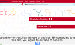 Screenshot 2024 07 13 115548